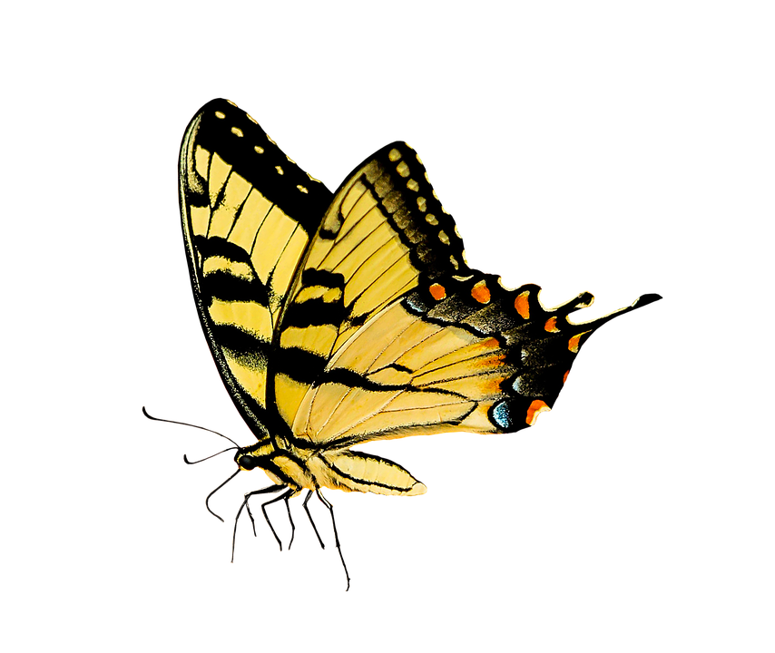 P0068 – Sensor de posición del acelerador